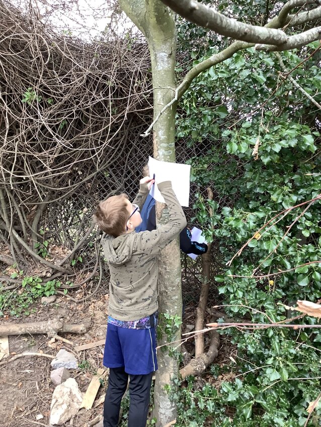 Image of Forest School Year 3 26.4.22