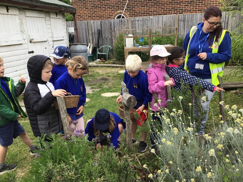 Image of Year 1 Trip to Community Garden