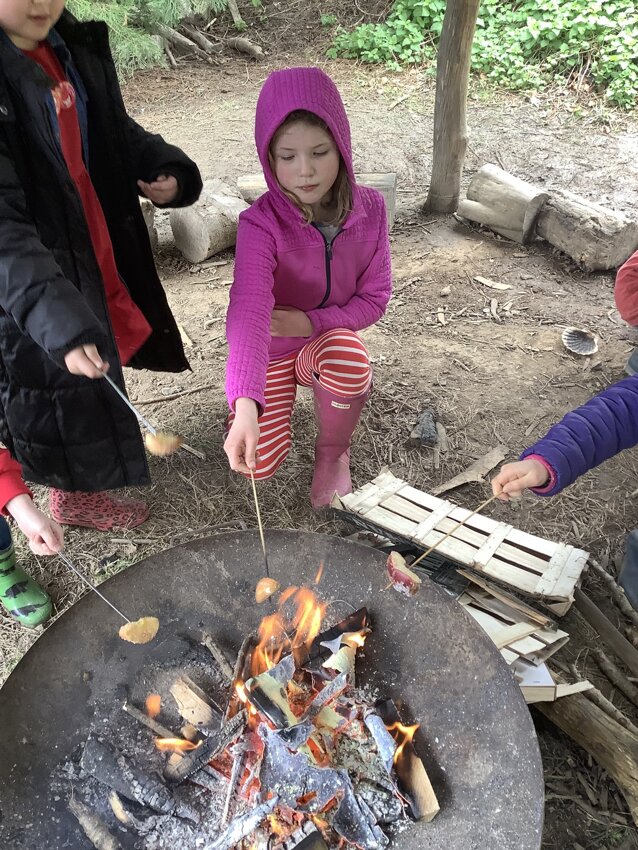 Image of Year 4 Term 4 Forest School 2024