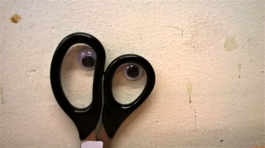 Image of I'm watching you!